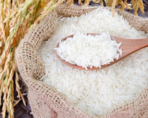 Rice