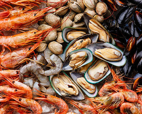 seafood